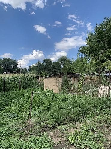 новый дом хай тек: Дом с участком и хозяйственными постройками - Просторная — 6
