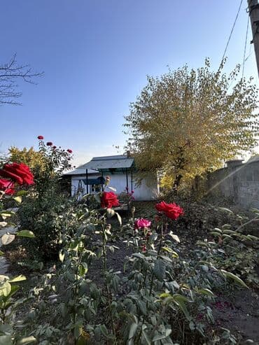 дом рынок дордой: Үй, 57 кв. м, 4 бөлмө, Риелтор, Косметикалык оңдоо — 11