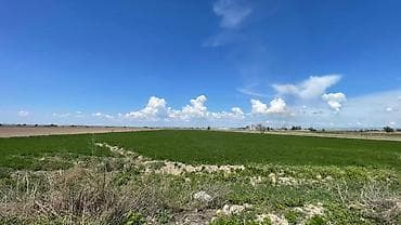 браво городок: 600 соток, Для бизнеса, Договор купли-продажи — 4