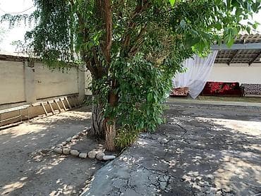 Кухонные принадлежности: 🏡 Продается дом в селе Чалдовар, Панфиловский район 📏 Участок – 11 — 10