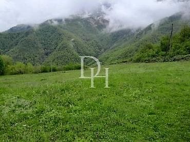 Кыймылсыз мүлк: 25 соток, Курулуш — 1