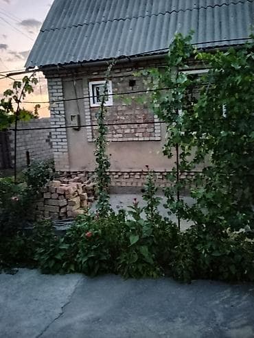Дачный участок с кирпичным домиком и хозяйственными постройками - — 2