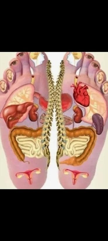 Набор для ухода и оздоровления от SR (Smart & Rich) Состав и