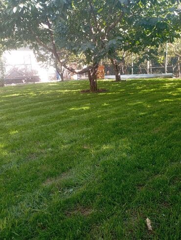 охрана ночная смена: Газон и Автополив жасайбыз баасы келишим турдо болот! — 15