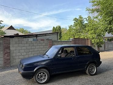 nardo grey: Volkswagen Golf: 1991 г., 1.3 л, Механика, Бензин, Хэтчбэк — 1