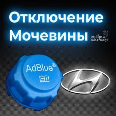 Компьютерная диагностика, Замена масел, жидкостей, Плановое техобслуживание, без выезда