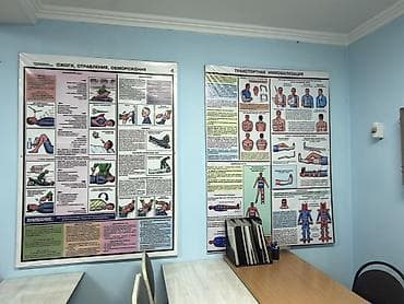 анатомическая кушетка: Комплект для обучения первой помощи и иммобилизации Состав и — 9