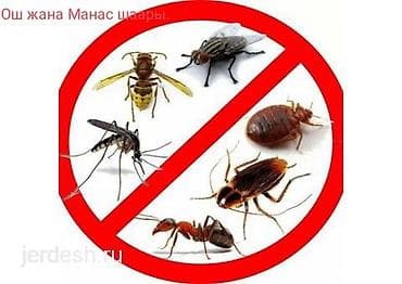 рс 3: Дезинфекция, дезинсекция, | Клопы, Блохи, Тараканы, | Транспорт, Офисы, Квартиры — 1