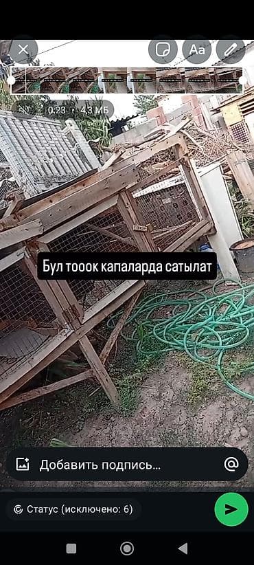 простые куры: Продаются деревянные клетки/вольеры для птицы (кур, перепёлок — 1