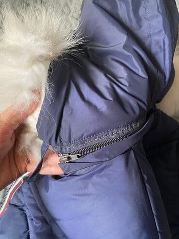 пальто детское демисезонное: Продаю зимнюю КУРТКУ девочковую, ориентировочно на 7-8 лет, очень — 4