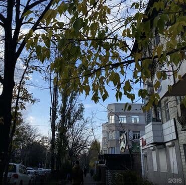 продаю квартиру 9микрайоне: 3 комнаты, 56 м², Индивидуалка, 3 этаж, Старый ремонт — 2