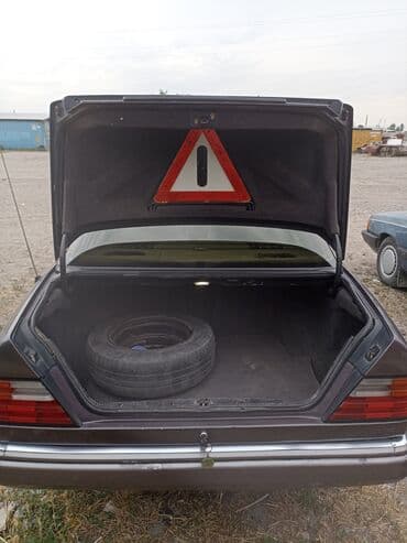 Mercedes-Benz 220: 1992 г., 2 л, Механика, Газ, Седан