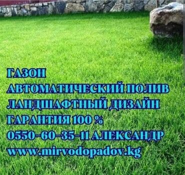 охрана ночная смена: Газон Посев Газона Натуральный газон Автополив Сеем Натуральный Газон — 1