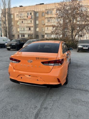 домкрат соната: Hyundai Sonata: 2019 г., 2 л, Автомат, Газ, Седан — 4