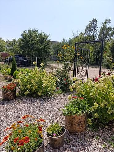 Гостевой дом на иссык-куле чулпон-ата улица Алия Айтматова рядом at lalafo.kg Гостевой дом на иссык-куле чулпон-ата улица Алия Айтматова рядом