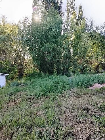 нуран парк: Участок без дома . - Просторный участок с естественным рельефом — 2