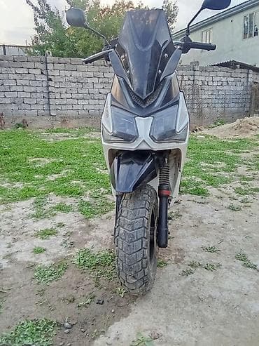 honda сервы: Тип скутера 175 куб. см, Бензин, Б/у — 2
