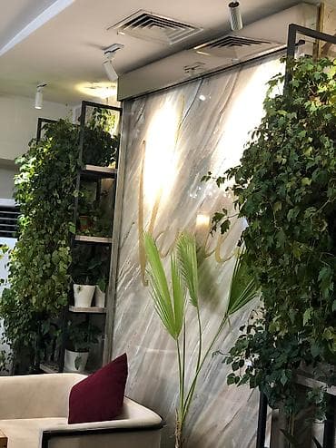 Требуется Уборщица, Оплата: Каждые 10 дней