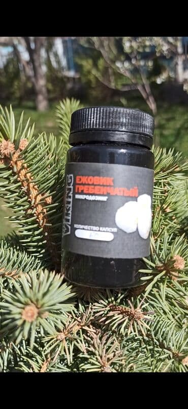 кофе в капсулах бишкек: Ежовик гребенчатый! В капсулах по 60 штук! является бад — 1