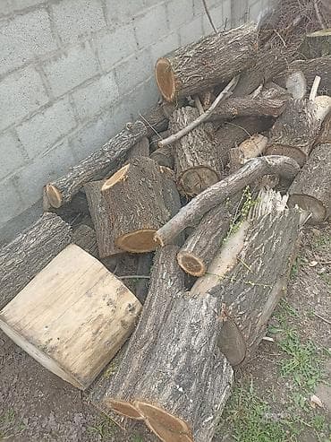 рыба минтай: Дрова — 2