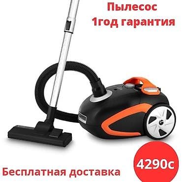 Чаң соргуч, Стандарттык, Кургак, Кап