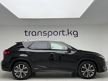 stop: Lexus RX: 2020 г., 3.5 л, Автомат, Гибрид, Кроссовер — 4