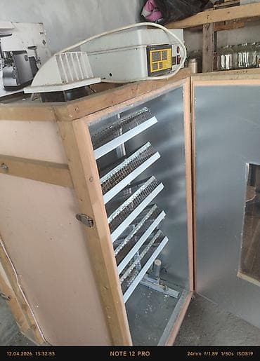 Инкубатор для яиц, шкафного типа - Вместимость: многоярусная