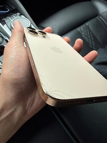 iphone 10plus: 16 PRO MAX, состояние идеальное только трещина маленькая сзади у — 1