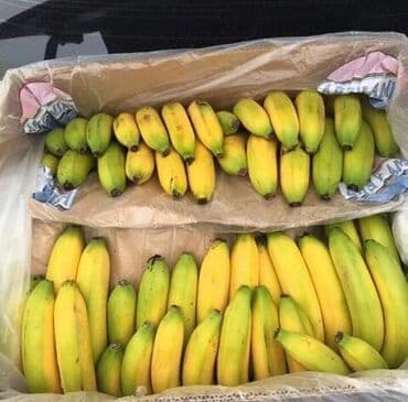 оптовые цены на продукты питания в бишкеке: Банандар Дүңүнөн, Акысыз жеткирүү — 13