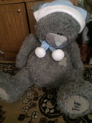 детские машины с пультом управления: Большие Новые мишутки 2 за 3000 — 2