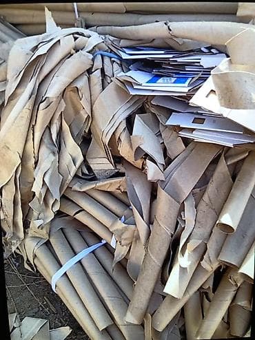 carpet cleaning: Принимаю Пакеты, Салафаны, Канистры, Картон 

Дорога! — 8