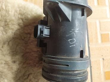 животные на р: Audi — 3