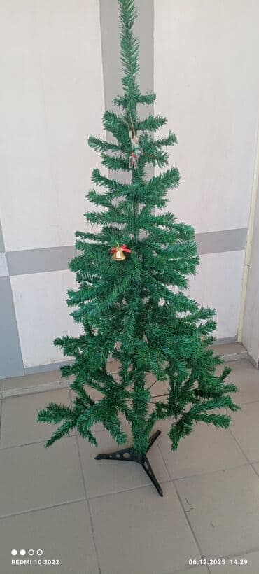 бугенвиллия бишкек: Продаются искусственные новогодние ёлки. Вариант 1: - Классическая — 4