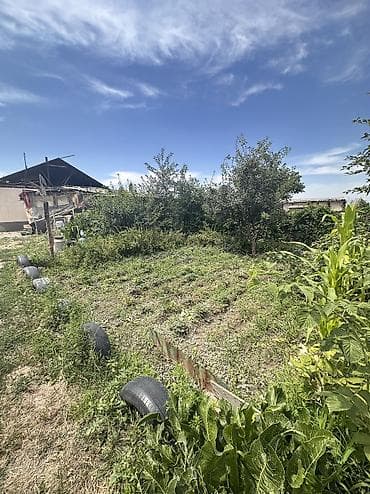 рахат: 10 соток, Для бизнеса, Тех паспорт, Договор купли-продажи, Красная книга — 4
