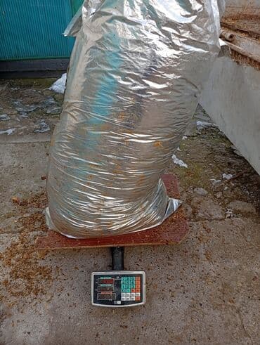 силос кукурузный: Силос 7 сом доставка Кара балта ичи 8 сом даны менен — 3