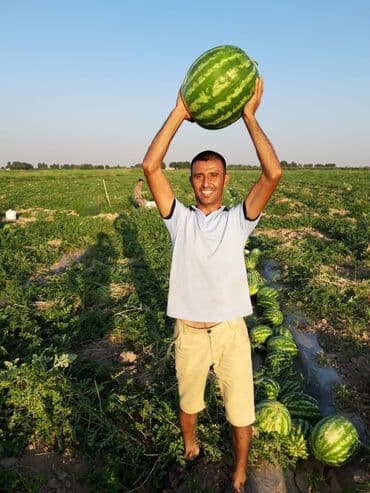 порошок из дождевых червей купить: Удобрение Самовывоз — 14