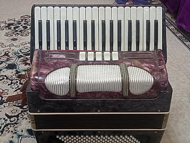 Велосипед тетиктери: Аккордеон/гармошка с клавиатурой пианино - Правая клавиатура: 41 — 2