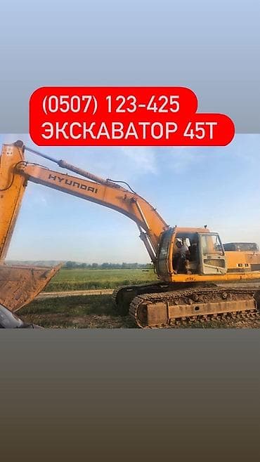 1gz ge: Экскаватор, Hyundai, 2004 г., Гусеничный — 1