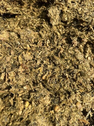 баа: Силос сатылат — 1