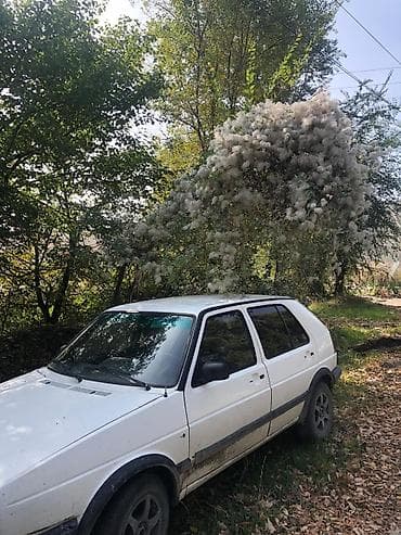 авто пушка: Volkswagen Golf: 1988 г., 1.8 л, Механика, Бензин, Хэтчбэк — 7