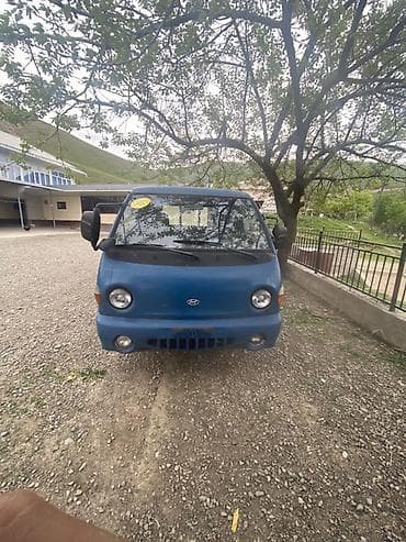 hyundai таракан: Легкий грузовик, Hyundai, Стандарт, Новый — 1