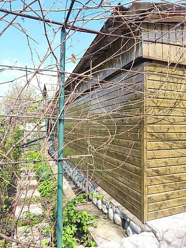 подсобный хозяйства: 4 соток, Красная книга — 6