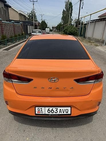 куплю тонировка: Hyundai Sonata: 2018 г., 2 л, Автомат, Газ, Седан — 5