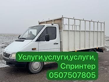 s 350: Грузовик, Mercedes-Benz, Стандарт, 3 т, Б/у — 1