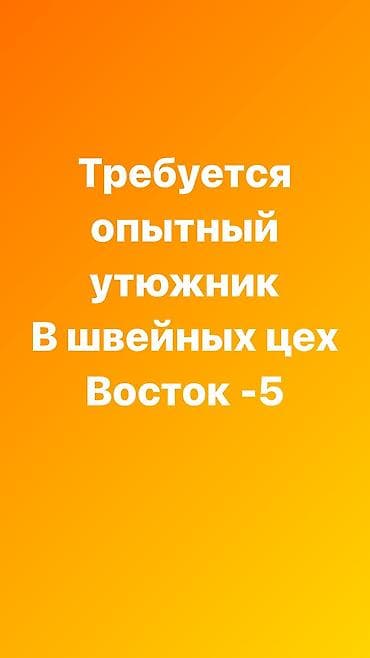 дел: Гладильщик, Рубашки и блузы, Район: Восток-5 мкр, Оплата: Еженедельно, Опыт работы: 3-5 лет опыта, Не студент — 1