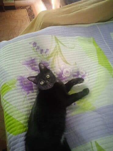 пасудомойка работа: Требуется Посудомойщица, Оплата Дважды в месяц — 1