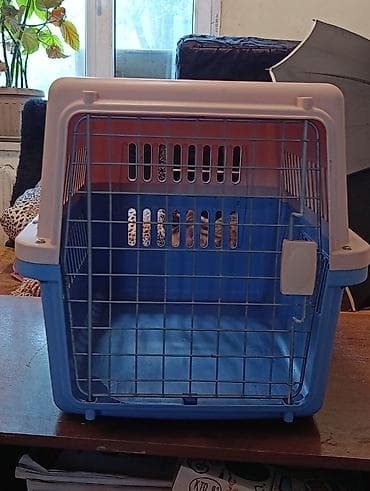 scottish fold: Переноска для собак ширина 40 длина 58 высота 40 — 2