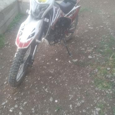 q 7: Эндуро 250 куб. см, Бензин, Взрослый — 2