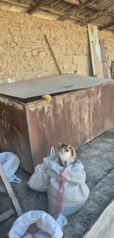 аммофос цена за 1 кг бишкек: - Предназначение: хранение зерна, кукурузы, комбикорма, семян, а также — 2