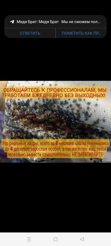 дезинфекция дома от клопов ош: Дезинфекция, дезинсекция, | Клопы, Блохи, Тараканы, | Транспорт, Офисы, Квартиры — 3